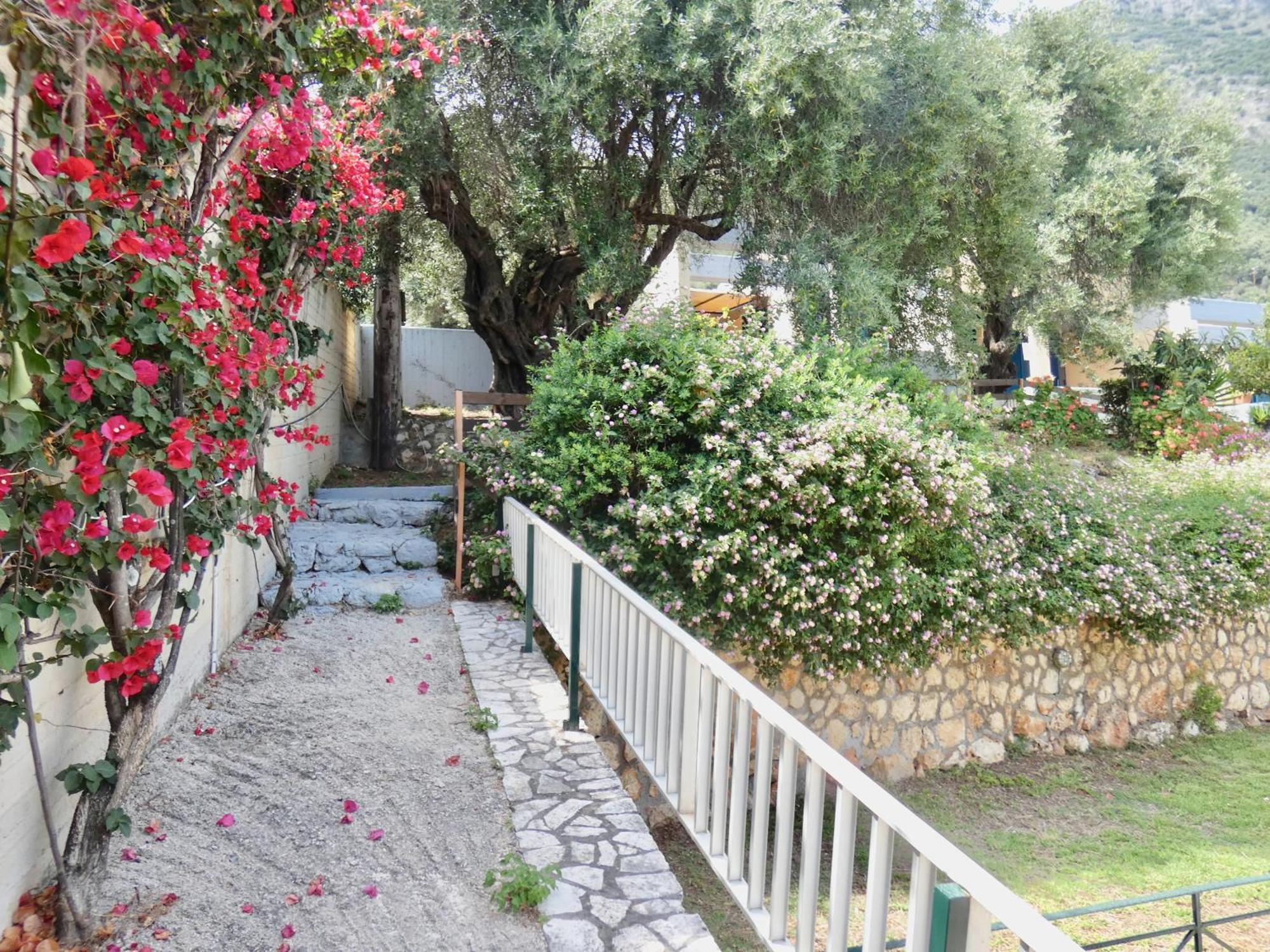 Barbati Beach Apartments